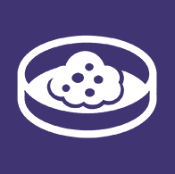 human icon